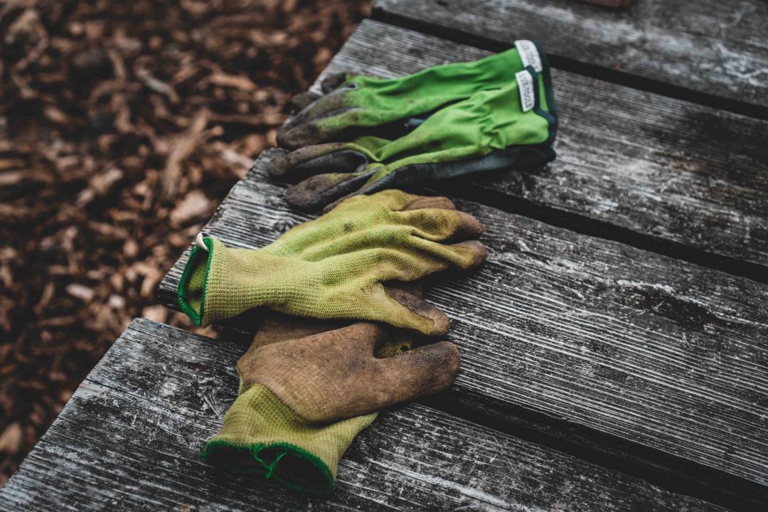 Gardening Gloves On Wooden Decking